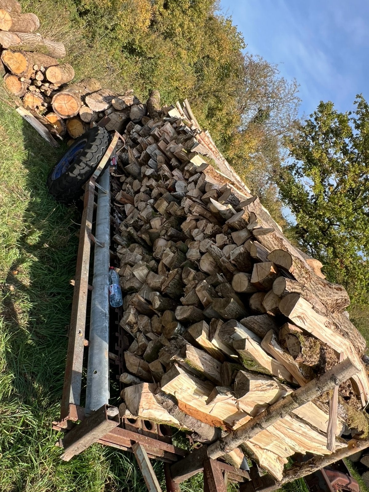 Bois de chauffage sec, 6 m³ ou plus, Enlèvement, Hêtre, Bûches