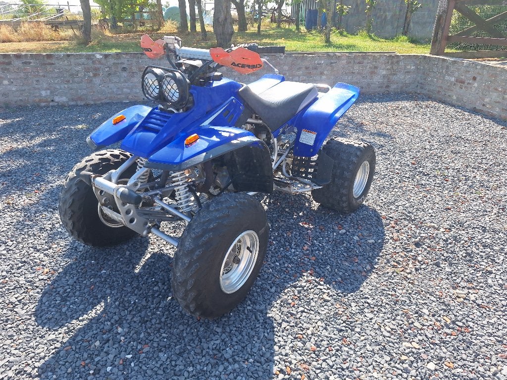 Quad, Motoren, 1 cilinder, 350 cc