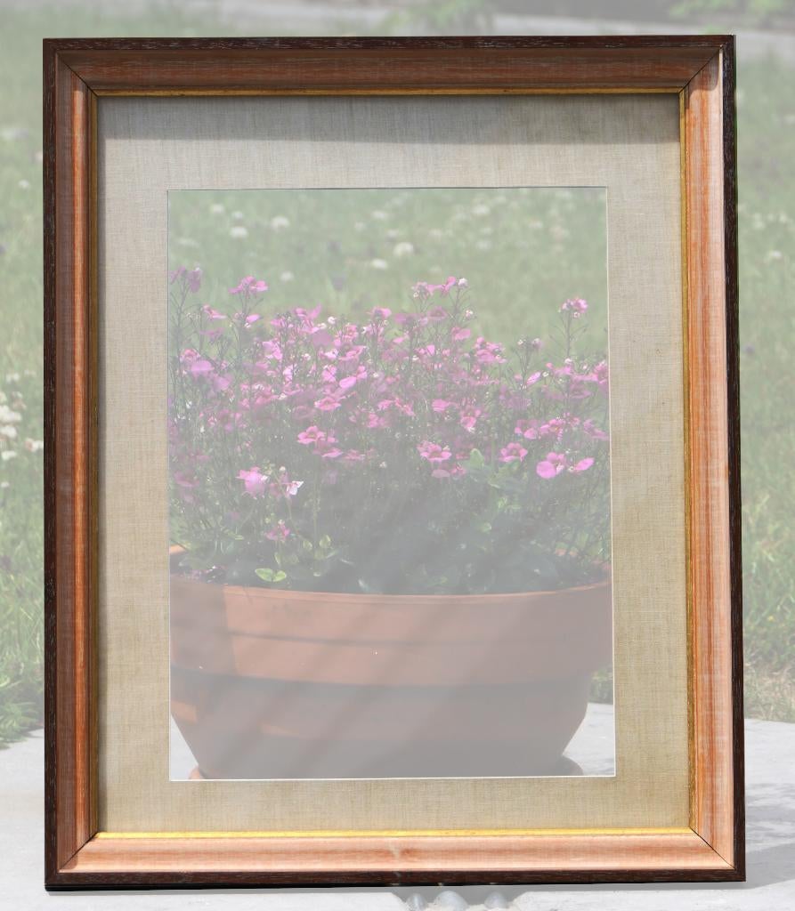 Cadre 46 X 56 cm, Enlèvement