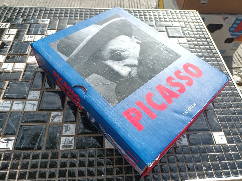 Boeken Picasso, Boeken, Ophalen of Verzenden