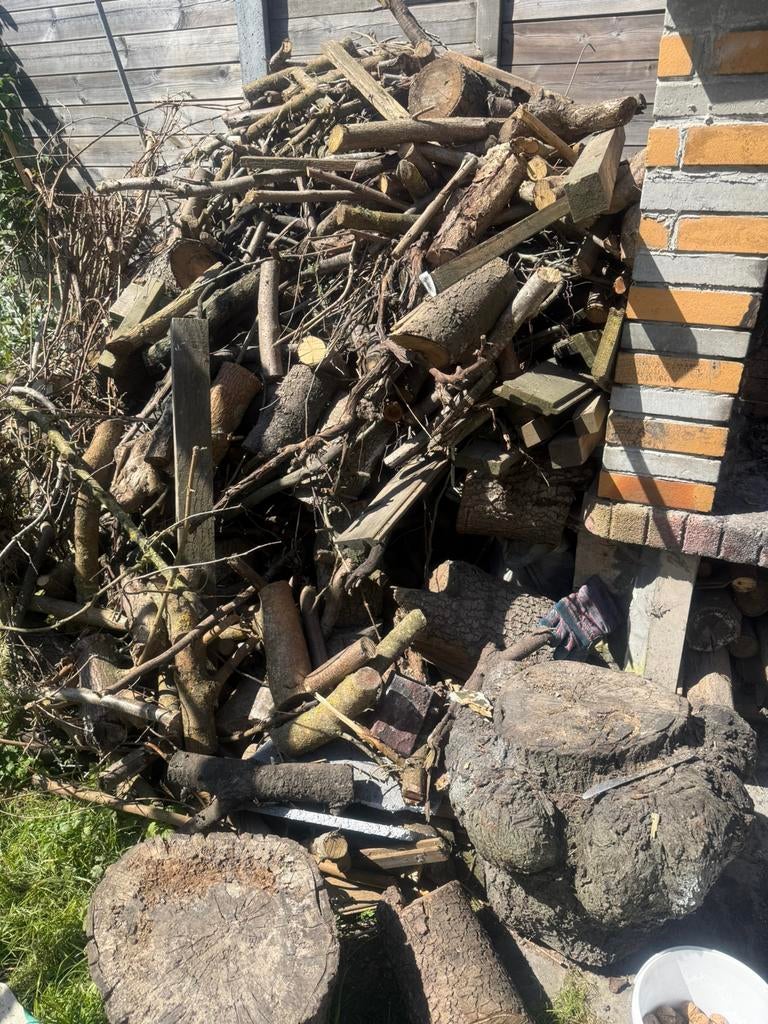 Bois a vendre, Minder dan 3 m³, Ophalen, Overige houtsoorten, Blokken