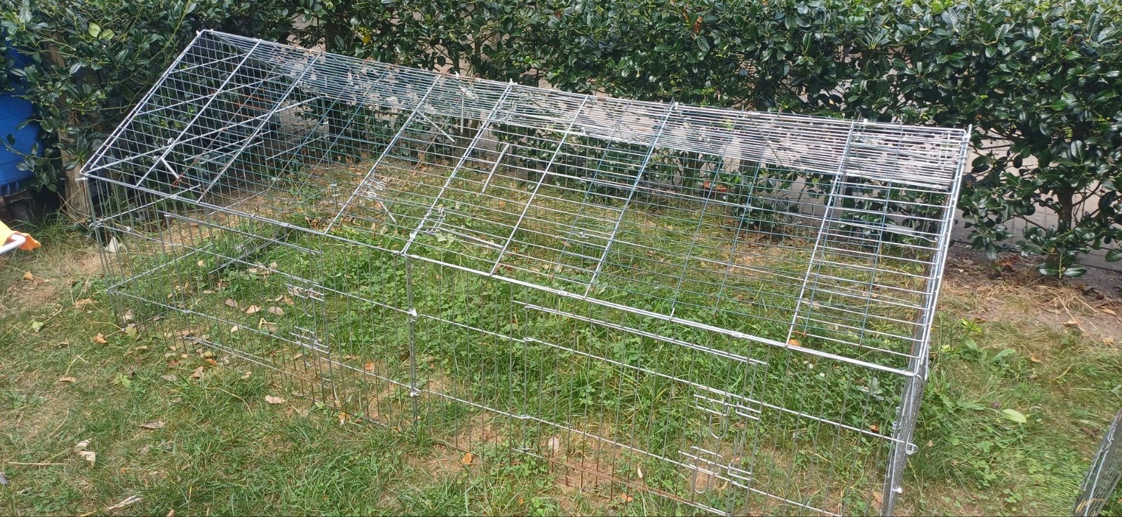 Ren voor buiten, Dieren en Toebehoren, Ophalen, Gebruikt, Ren, Cavia