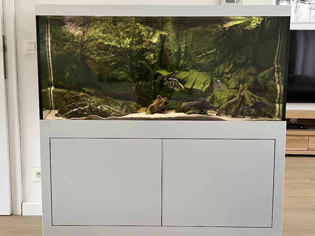 Moderne aquarium van hoge kwaliteit, Ophalen, Inclusief deksel, Gebruikt, Oase