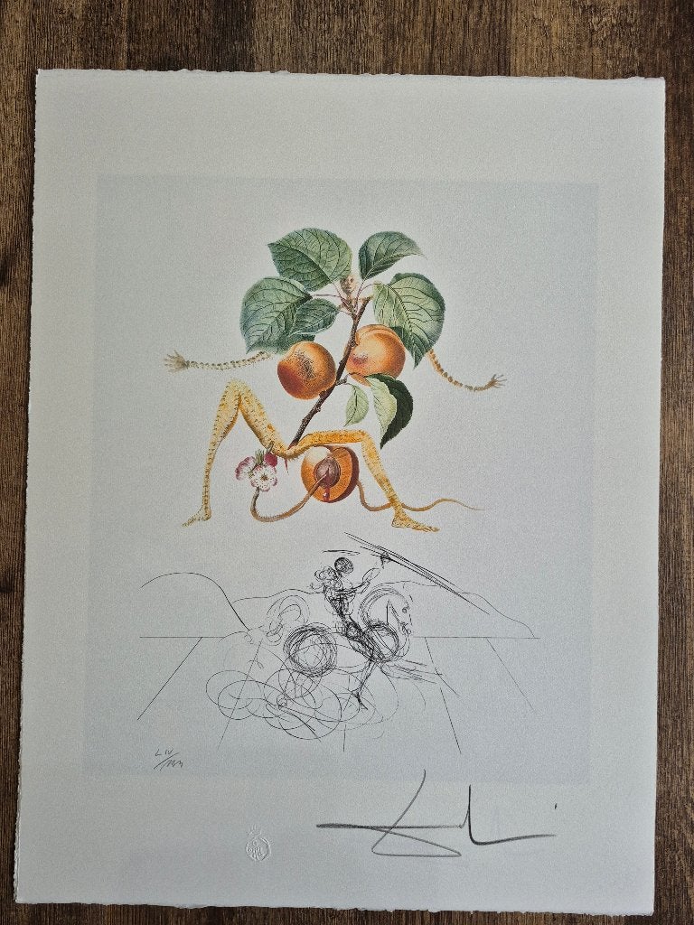 Salvador Dali Lithografie off set 50x65 cm. 65€, Antiquités & Art, Enlèvement ou Envoi, Lithographie