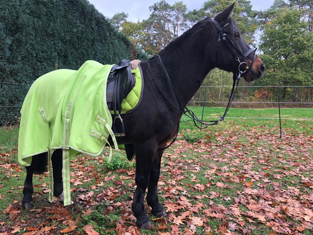Ponylessen, Dieren en Toebehoren, Paarden en Pony's | Dekens en Dekjes, Zo goed als nieuw, Ophalen
