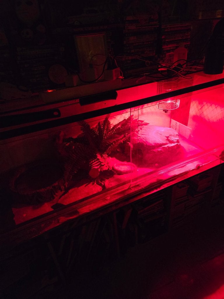 Terrarium, Dieren en Toebehoren, Ophalen, Gebruikt, Terrarium of Paludarium