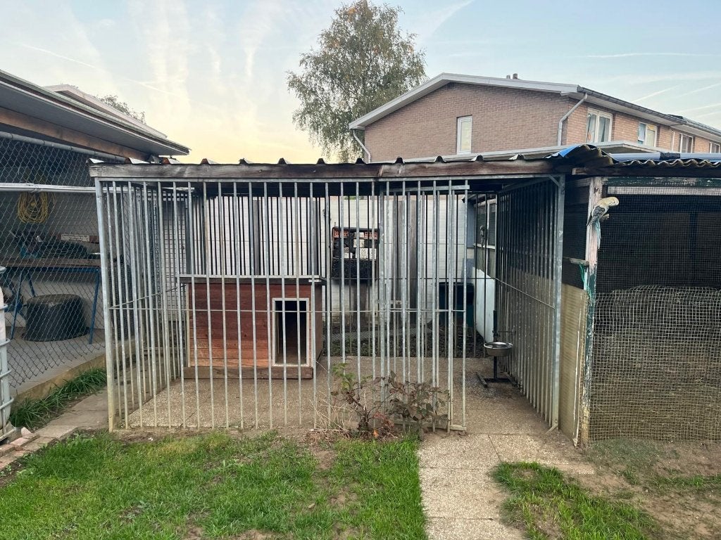 Stevig hondenhok met ruime buitenren 250 euro op halen, Dieren en Toebehoren, Ophalen, Gebruikt, Hondenhok