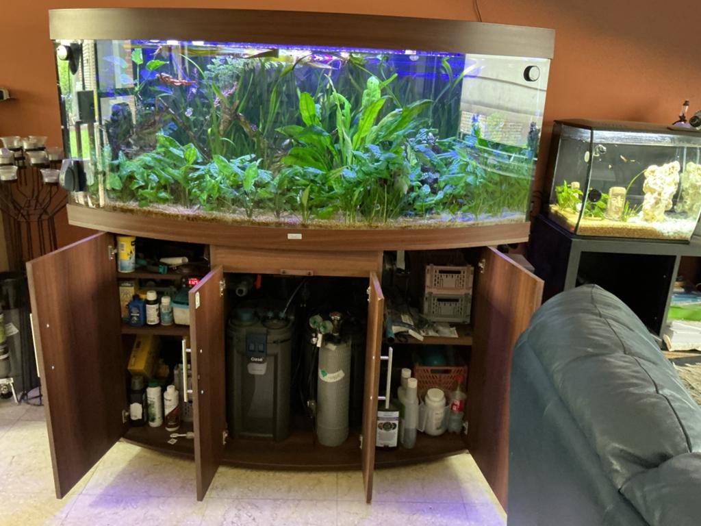 Aquarium te koop, Dieren en Toebehoren, Vissen | Aquaria en Toebehoren, Ophalen, Zo goed als nieuw, Juwel