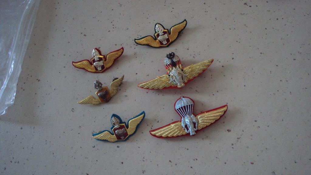 lot wings Thailand, Ophalen of Verzenden