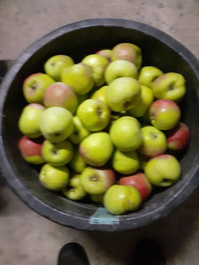 Pommes Belle-fleur, Enlèvement