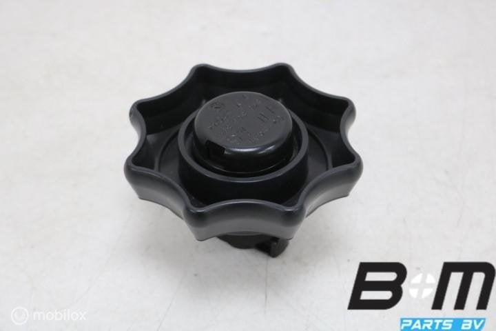 Bout voor reservewiel Audi RS5 8W 8W0803899, Gebruikt