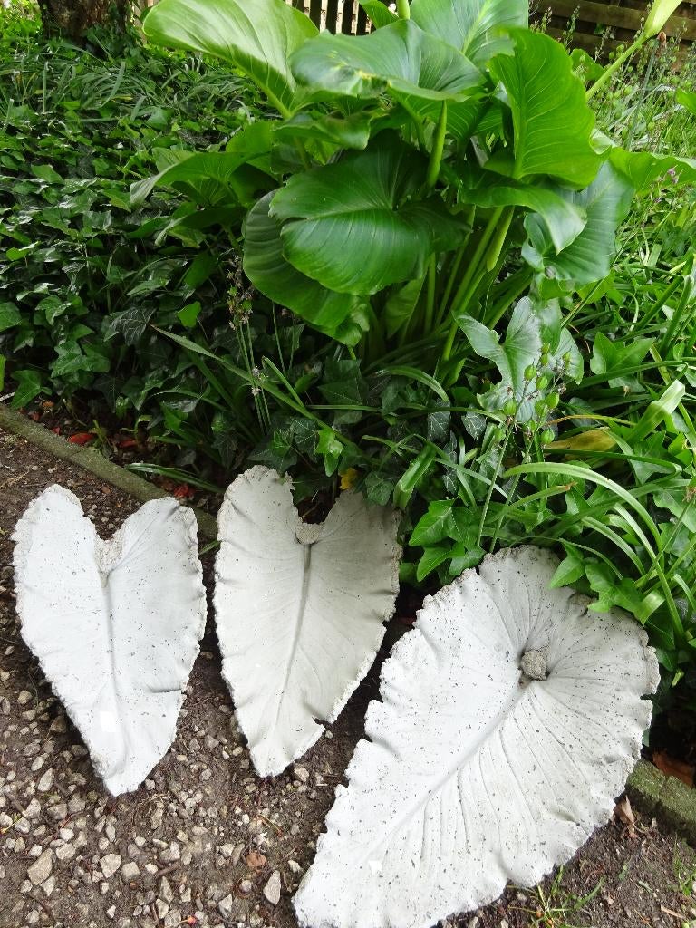 Planten- Water- Bloemenschalen, Tuin en Terras, Ophalen, Nieuw, Beton, Balkon
