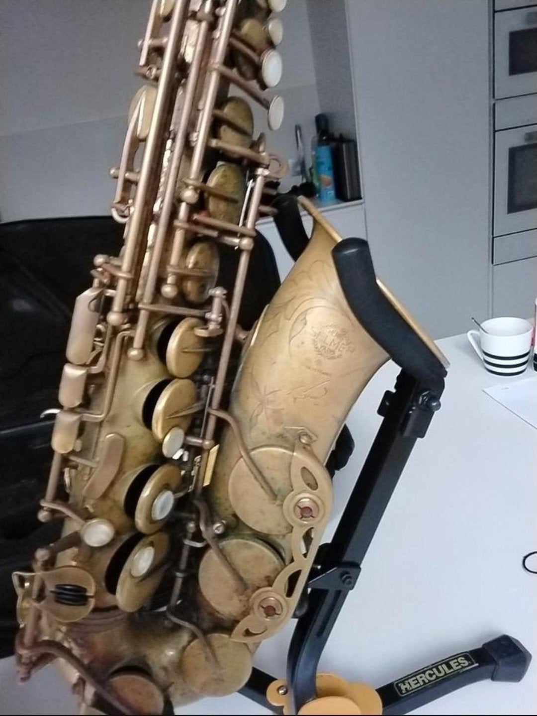 Selmer alt saxofoon reference 54 ontlakt, Musique & Instruments, Enlèvement, Alto