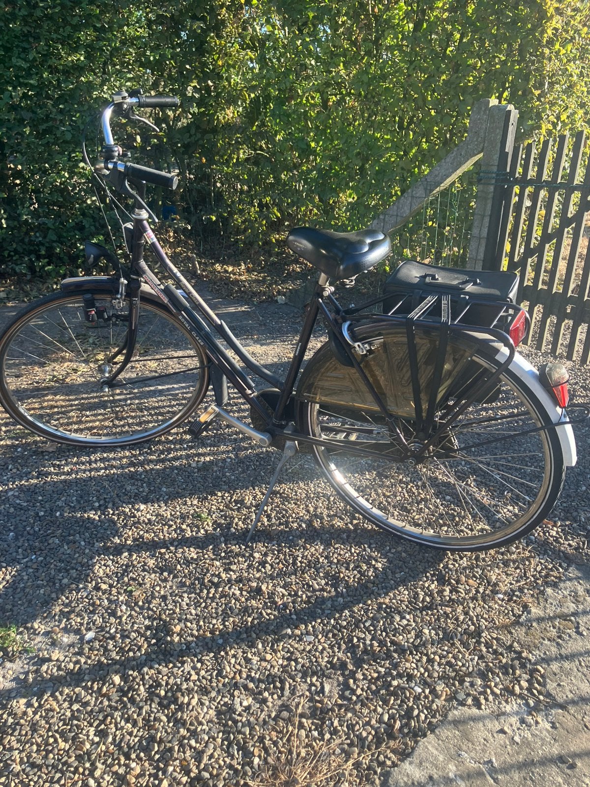 Vrouwen fiets met tas, Fietsen en Brommers, Ophalen