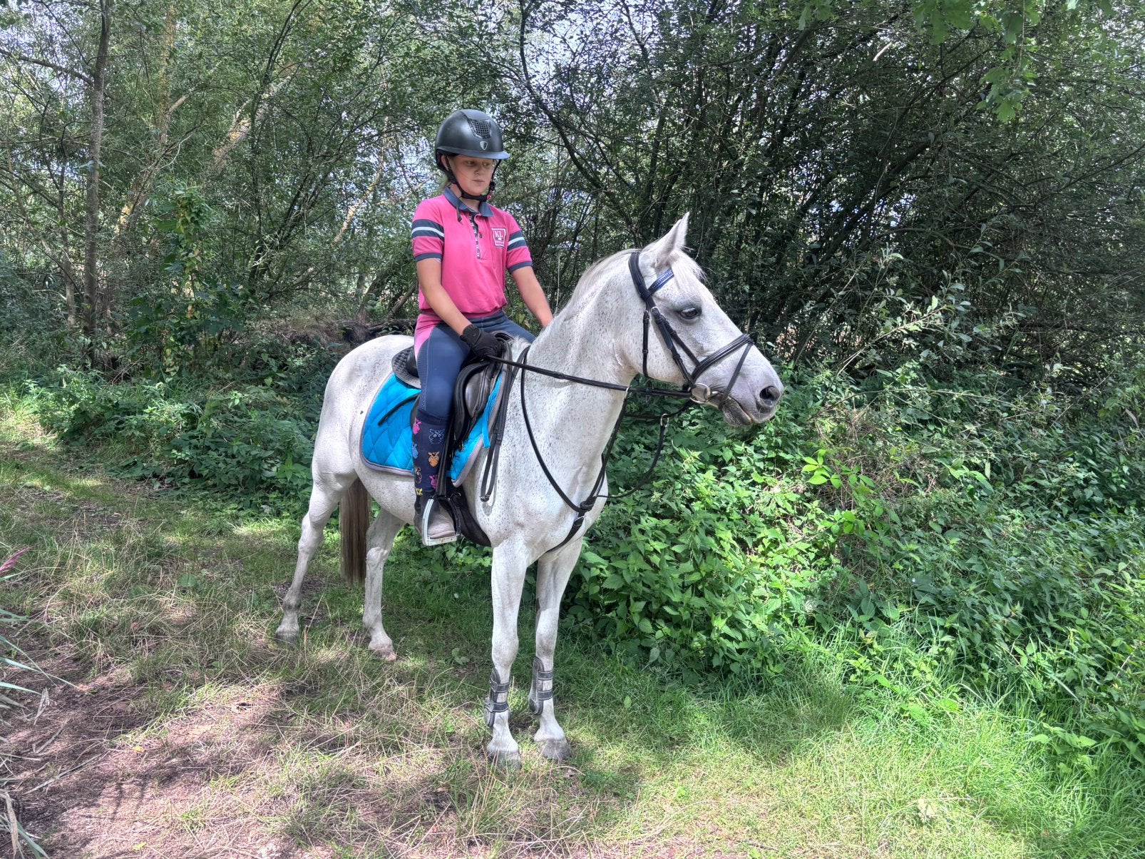 Top beginnerspony, Dieren en Toebehoren, Niet van toepassing, B pony (1.17m tot 1.27m), 11 jaar of ouder, Merrie