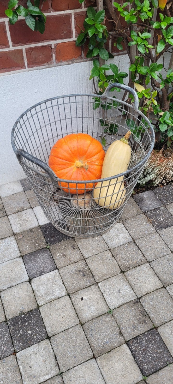 oude aardappelmand met sierfruit, Vélos & Vélomoteurs, Enlèvement, Utilisé