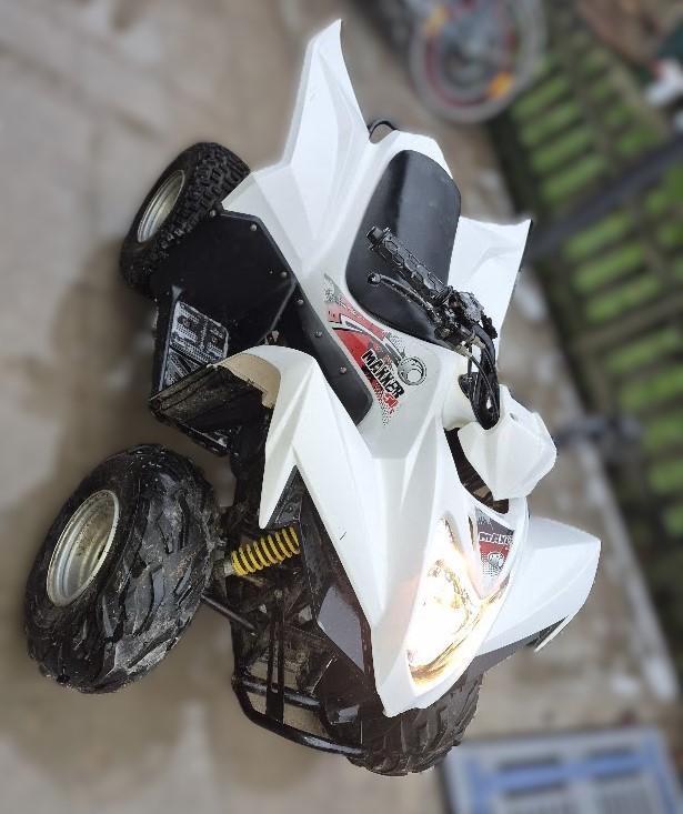 Quad Maxxer 50 2-takt, Motoren, 50 cc