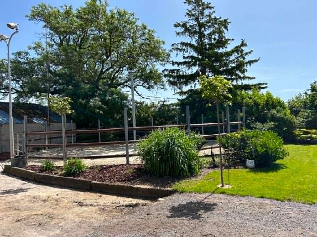 Pension pour chevaux, Animaux & Accessoires