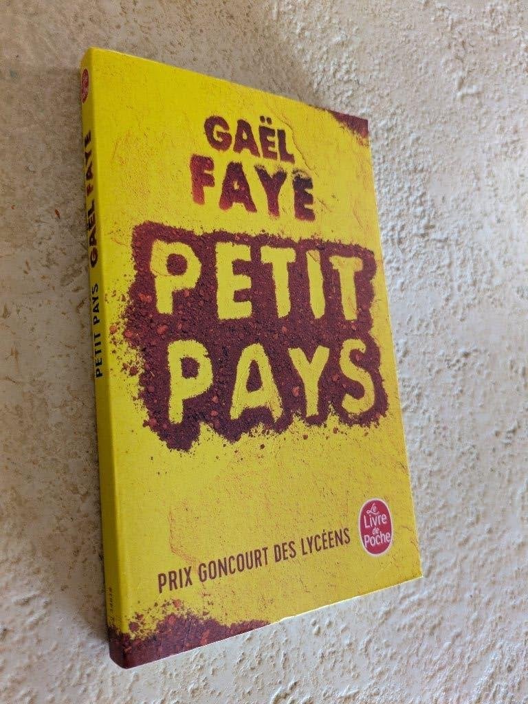 Petit pays (Gaël Faye)., Livres, Comme neuf, Europe autre, Gaël Faye., Envoi