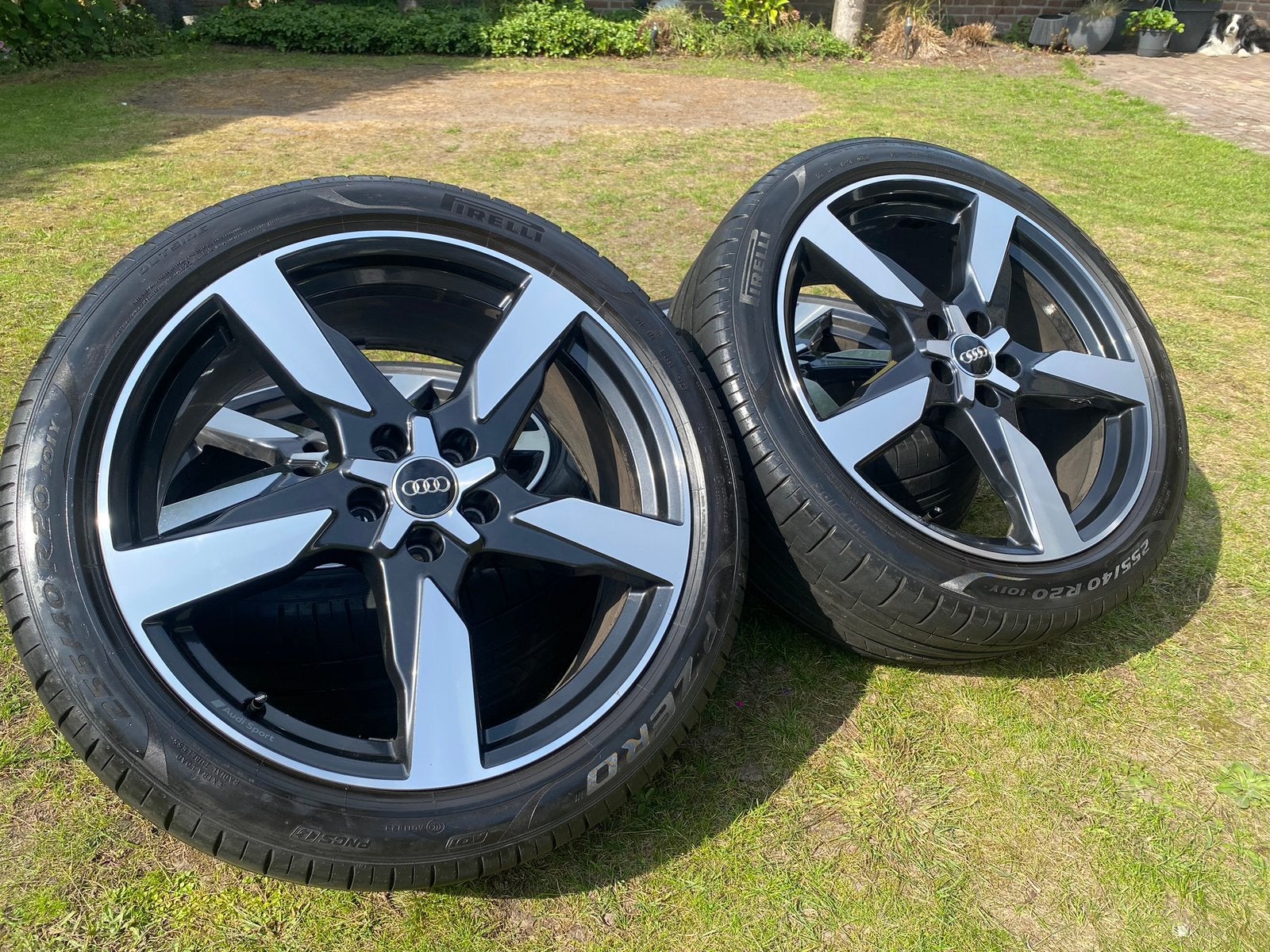 20 Inch Originele Audi A6 Q3 Velgen Tiguan Kodiaq, Ophalen, Gebruikt, 255 mm, Banden en Velgen
