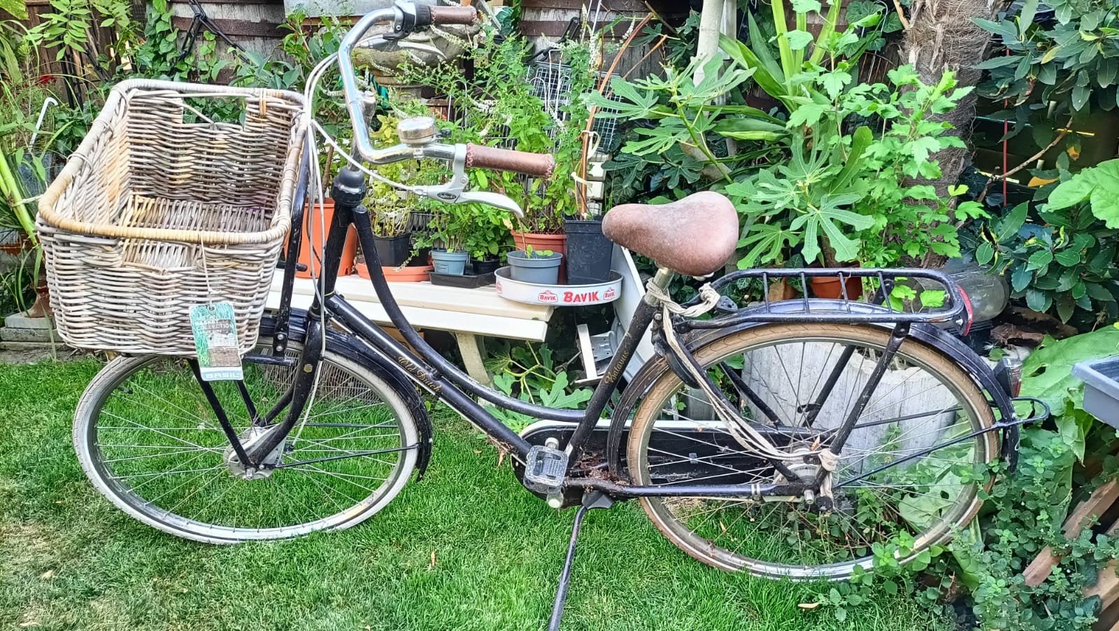 retro bakfiets met rieten mand. Old  Dutch, Vitesses, Old Dutch Batavus, Enlèvement, Utilisé