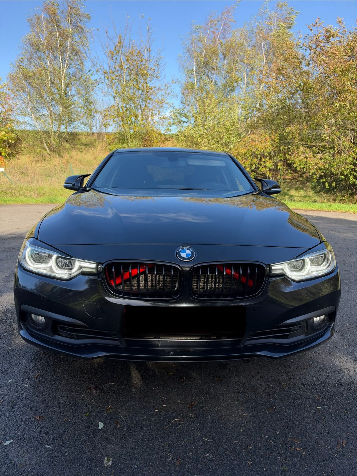 BMW 318i boîte automatique, 100 kW, Achat, Euro 6, Carnet d'entretien