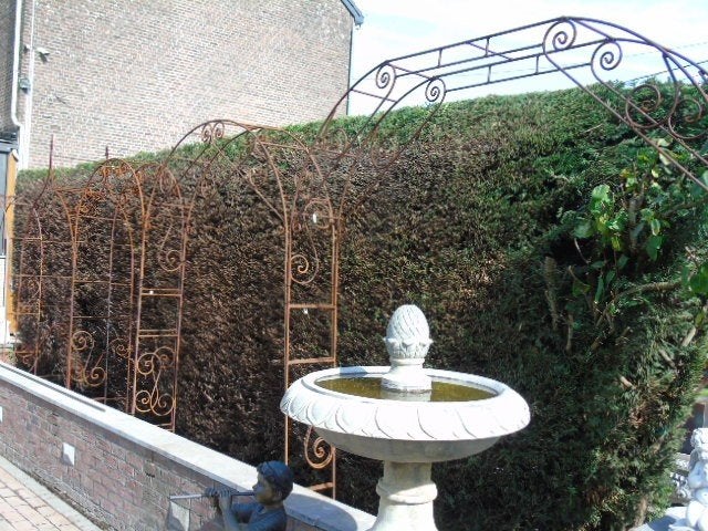 smeedijzeren boogklimplanten met volledige stang model 2 m20, Tuin en Terras, Ophalen, Nieuw
