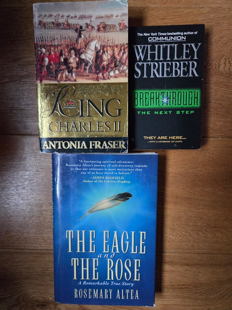 engelse boeken - non-fictie, Ophalen of Verzenden, Zo goed als nieuw, Non-fictie