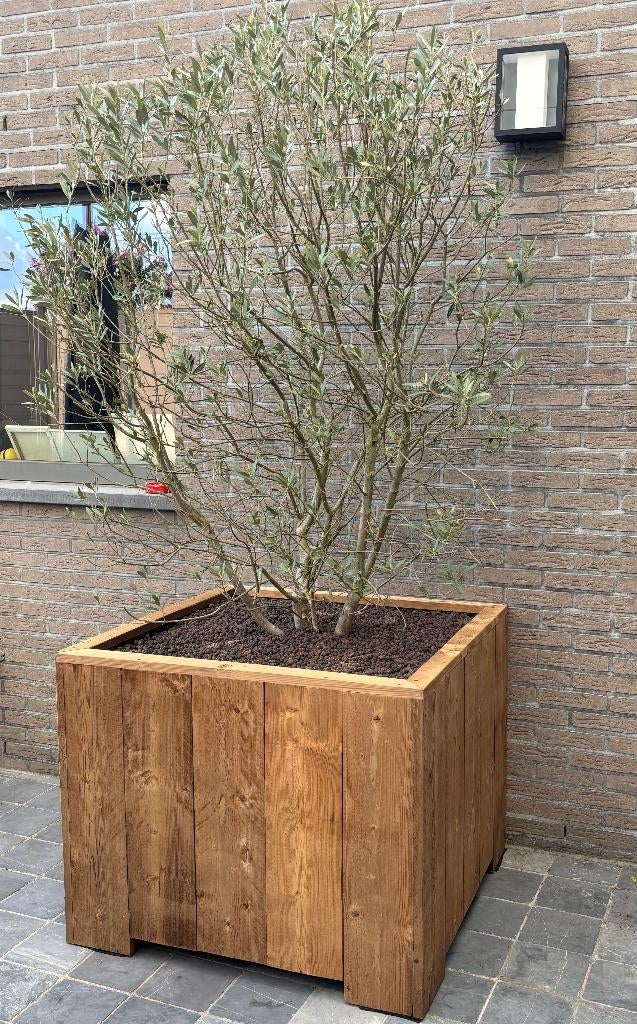 Plantenbak Thermowood -- natuurlijke elegantie 10%korting, Neuf, Enlèvement ou Envoi, Rijkevorsel, Intérieur