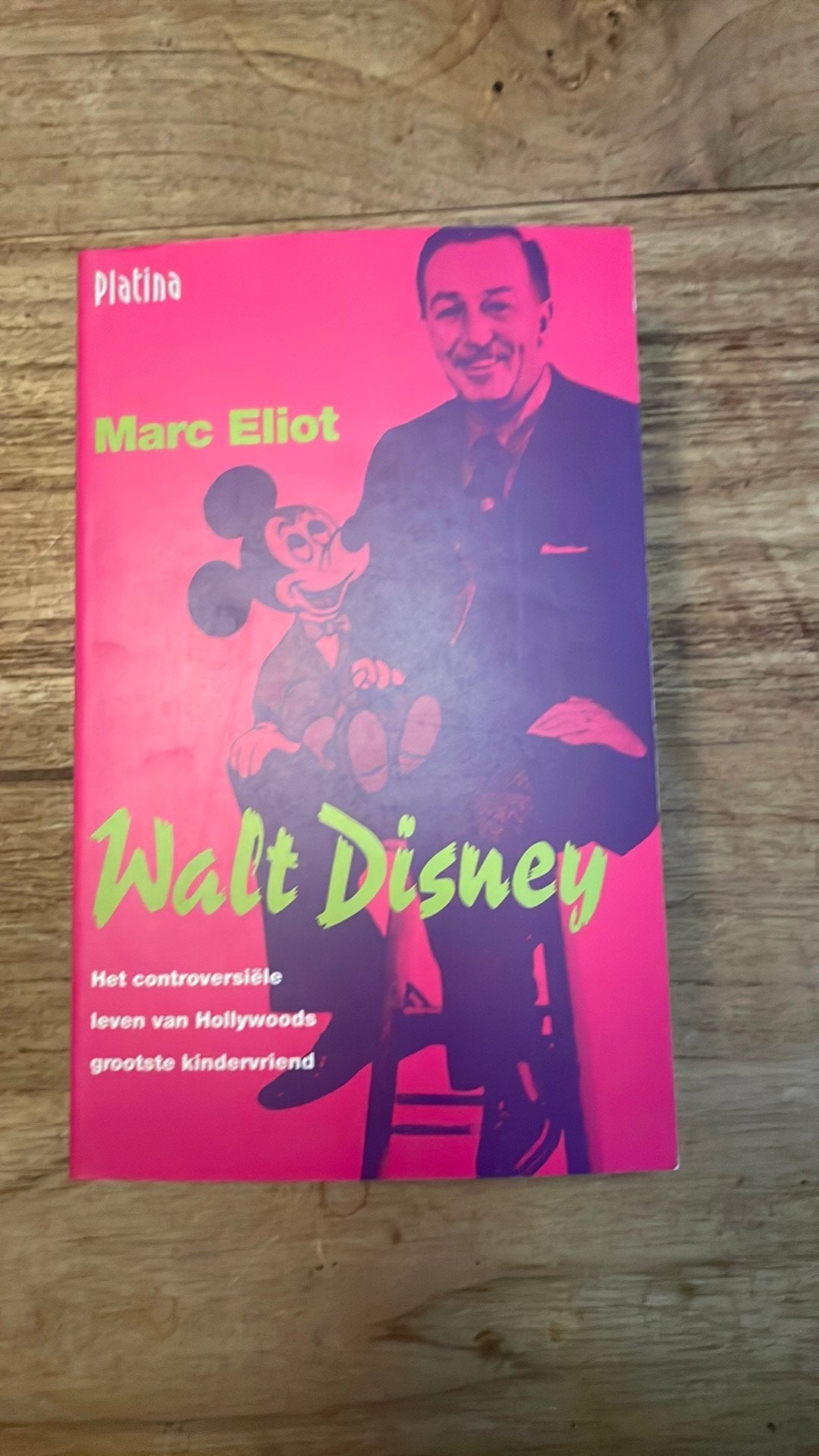 Boek Walt Disney, Boeken, Biografieën, Ophalen of Verzenden, Zo goed als nieuw