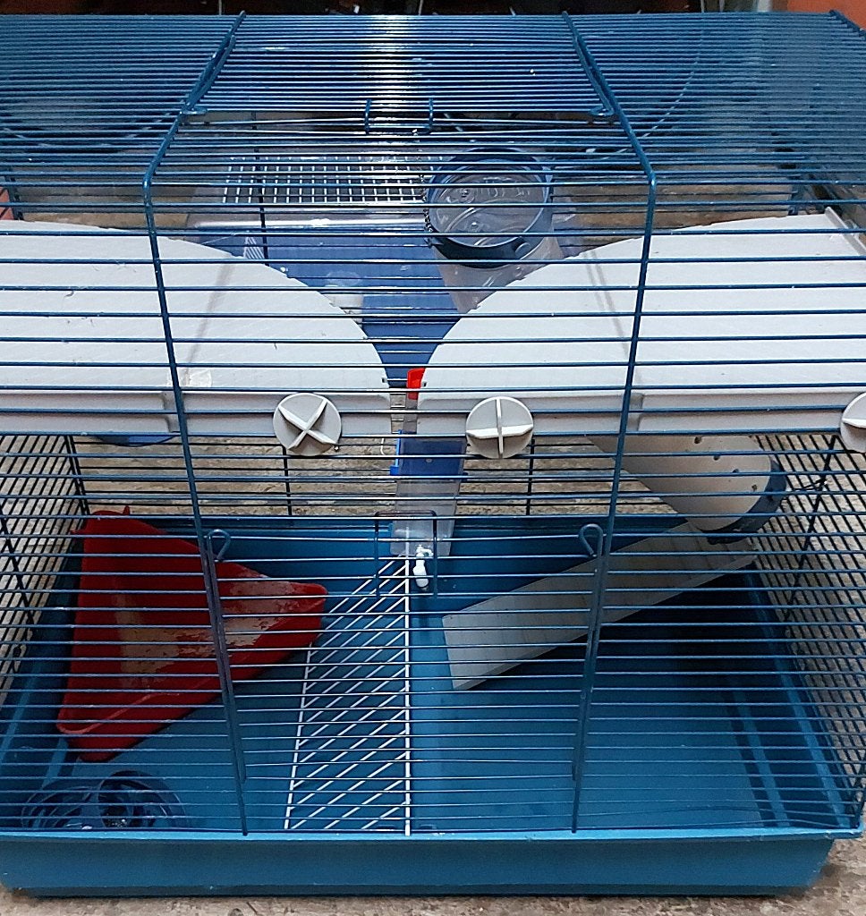 2 kooien en 2 kattenbakken, Dieren en Toebehoren, Knaagdieren en Konijnen | Hokken en Kooien, Ophalen, Kooi, Gebruikt, 60 tot 90 cm