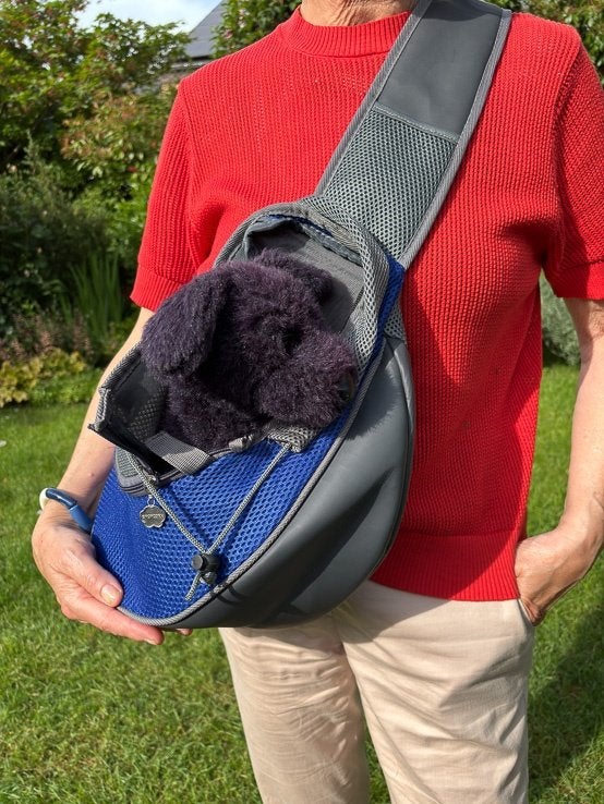 Sac ventral de transport pour petit chien, Animaux & Accessoires, Enlèvement ou Envoi, Utilisé