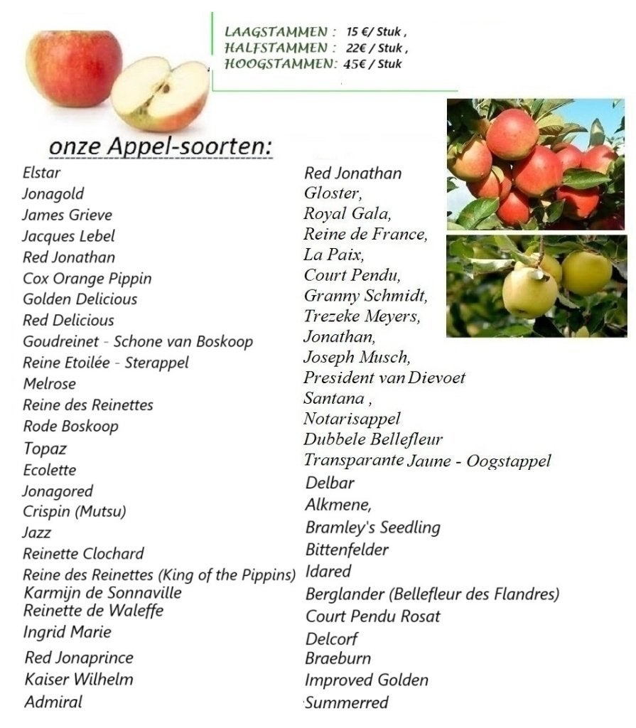 FRUITBOMEN: APPELS, PEREN, KERSEN, PRUIMEN, PERZIKEN, NOTEN,, Ophalen of Verzenden, 100 tot 250 cm, Overige soorten, Lente