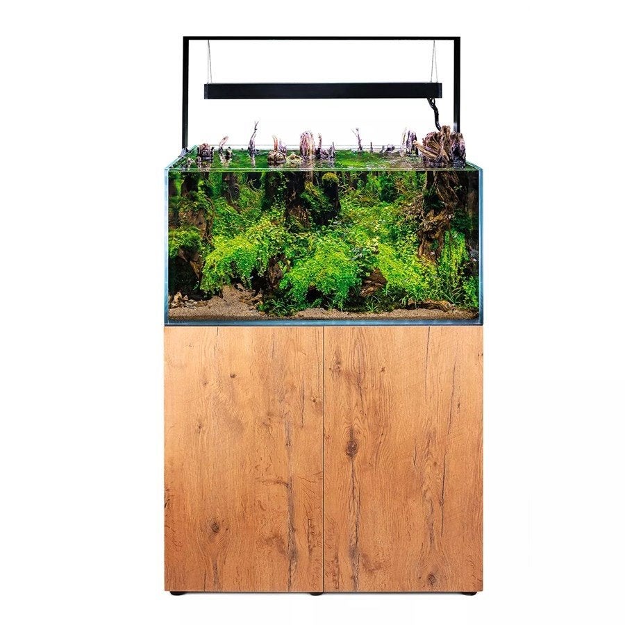 Volledig aquarium, Ophalen, Aquael, Inclusief vissen, Gevuld zoetwateraquarium