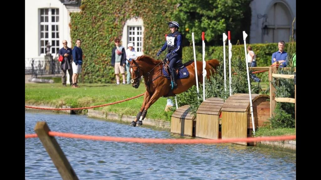 Eventing ruin te koop, Dieren en Toebehoren, Paarden, Ruin, Z, 160 tot 165 cm, 7 tot 10 jaar, Springpaard, Met stamboom, Gechipt