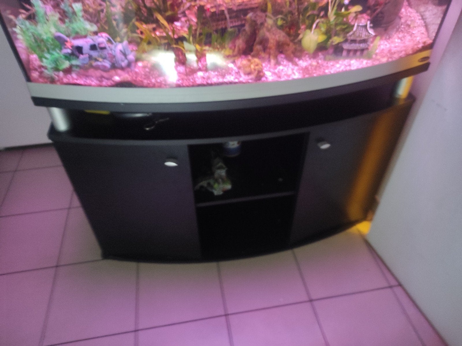 groot tropisch visaquarium, Ophalen, Gebruikt, Overige merken, Inclusief vissen