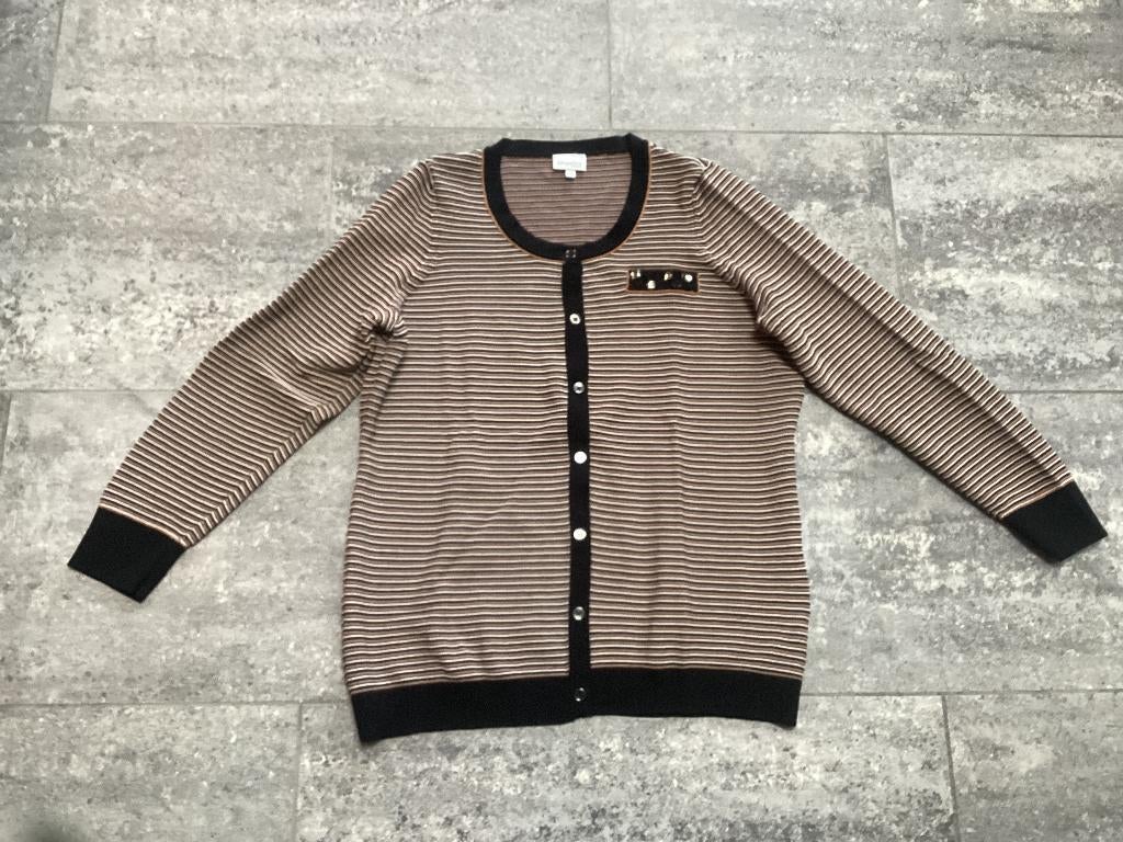 Pull et gilet Mayerline, Vêtements | Femmes, Pulls & Gilets, Neuf, Taille 38/40 (M), Autres couleurs, Enlèvement ou Envoi