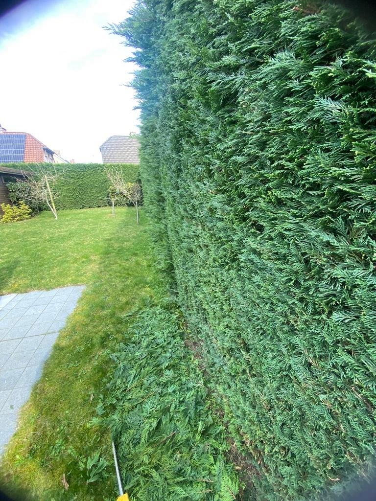 Tuinman met ervaring, Ophalen