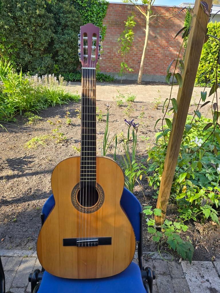 Guitare classique à vendre — étui inclus, Enlèvement