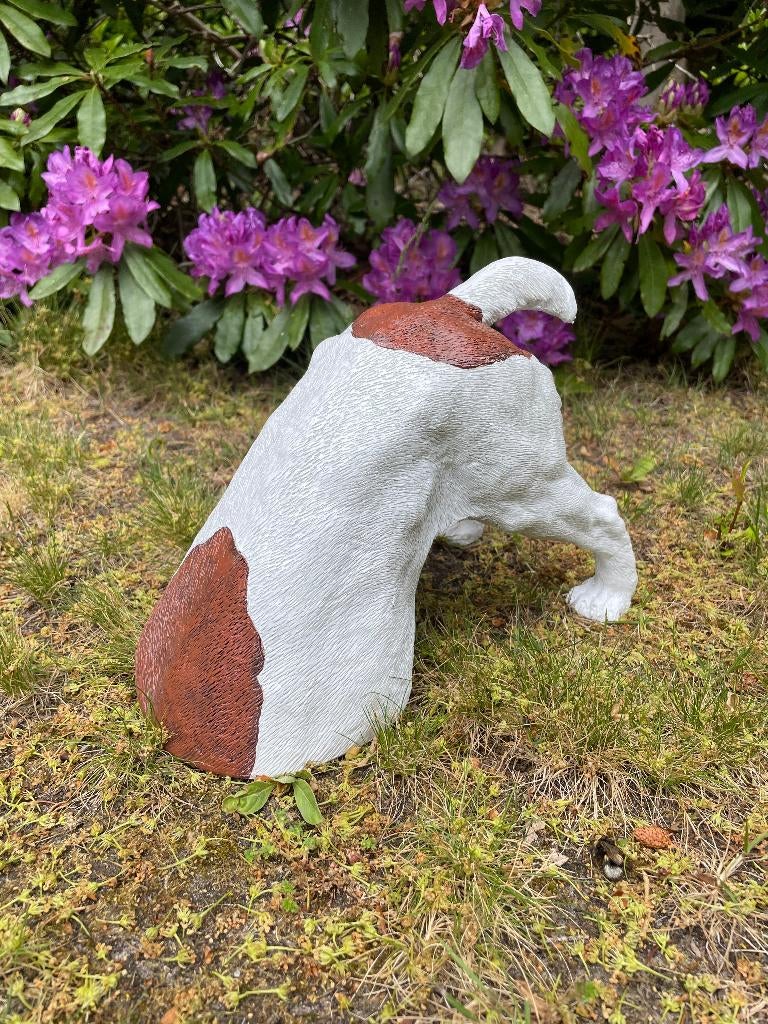 Jack Russel hond wit/bruin, gazon, boerderij 30cm, Tuin en Terras, Tuinbeelden, Nieuw, Dierenbeeld, Kunststof, Ophalen of Verzenden