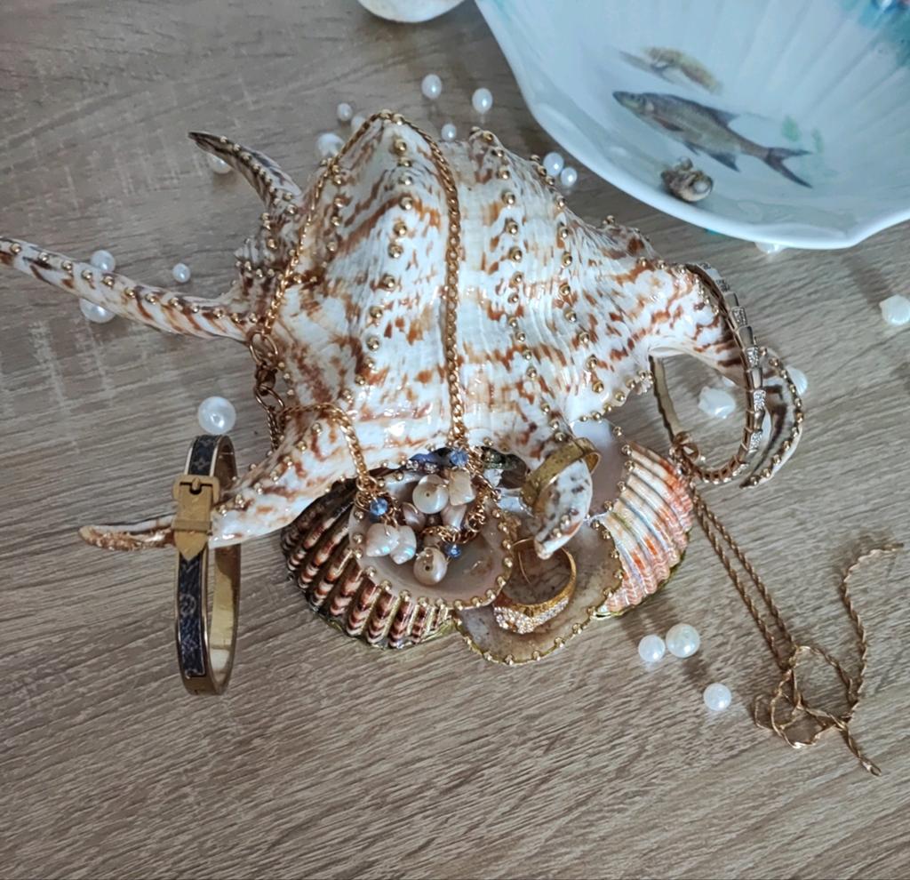 Coquillage Porte-bijoux Décoratif Long – Seashell Jewelry Or, Bijoux, Sacs & Beauté, Broches, Enlèvement ou Envoi, Or, Or