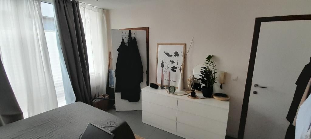 Studio, 20 tot 35 m², Hasselt