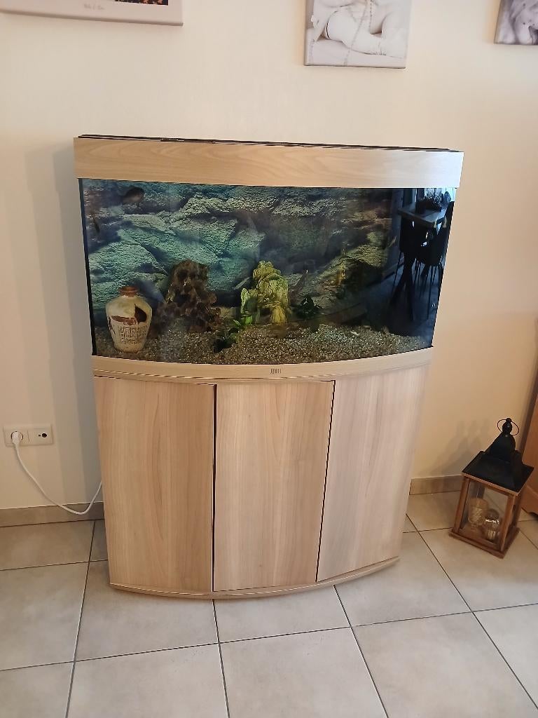 Aquarium Juwel 100 cm, Dieren en Toebehoren, Ophalen, Gebruikt, Aquariummeubel, Juwel