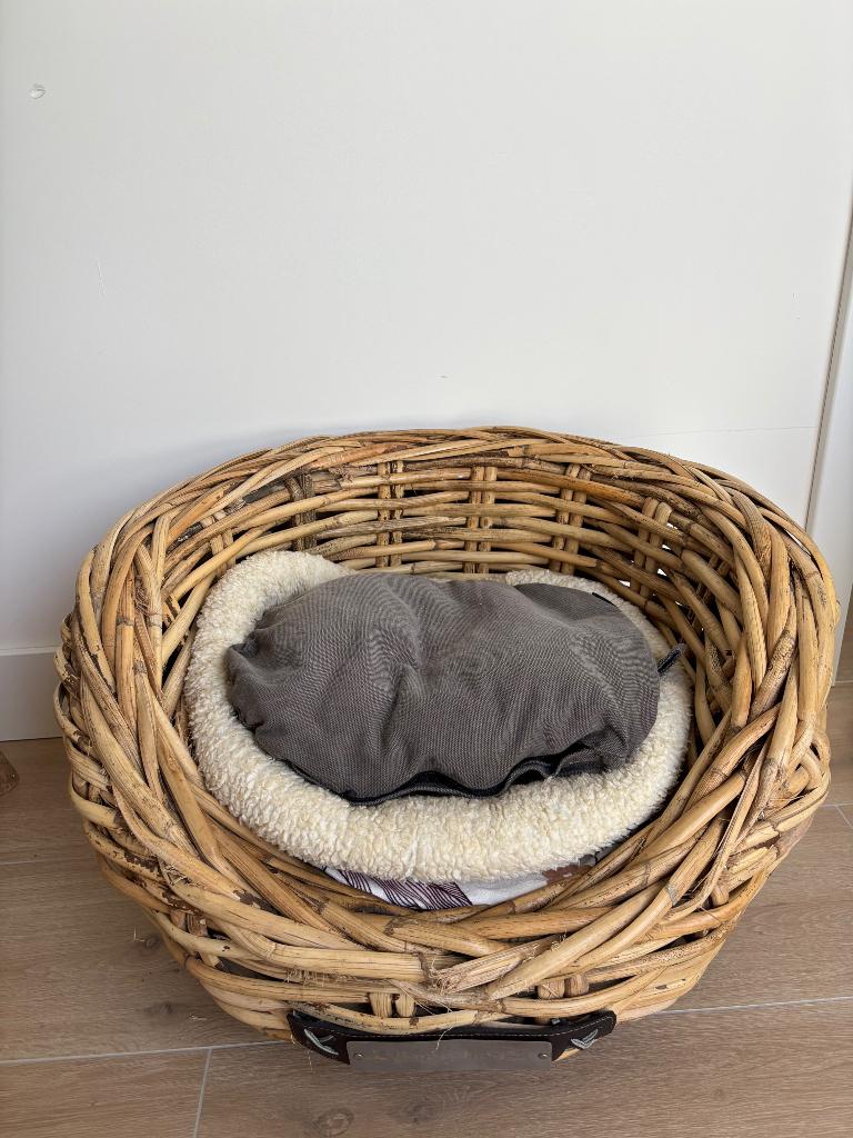 Chihuahua of Kattenmandje, Ophalen, Gebruikt