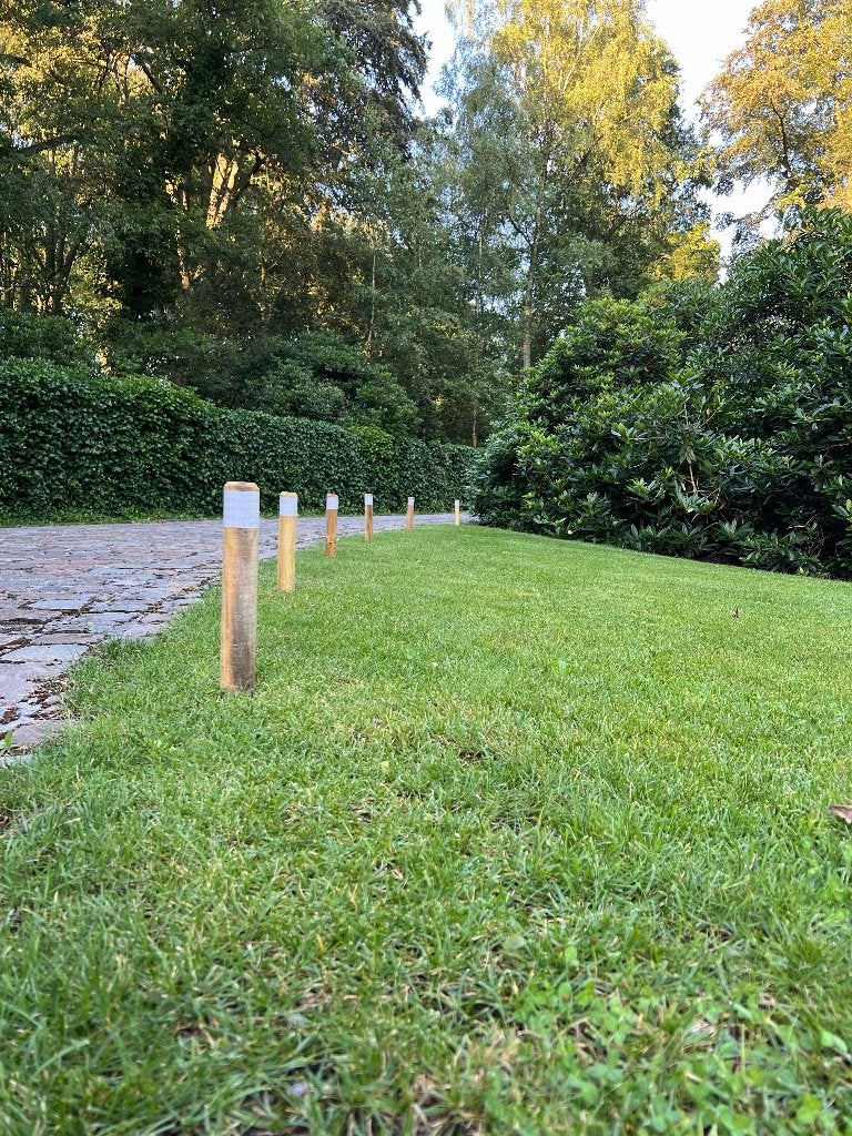 Bermpaaltjes tegen parkeren, Diversen, Overige Diversen, Nieuw, Verzenden