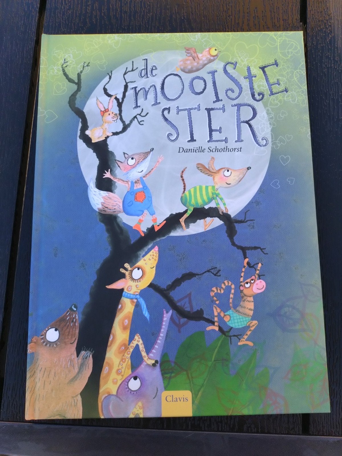 Daniëlle Schothorst - De mooiste ster, Livres, Enlèvement ou Envoi, Daniëlle Schothorst