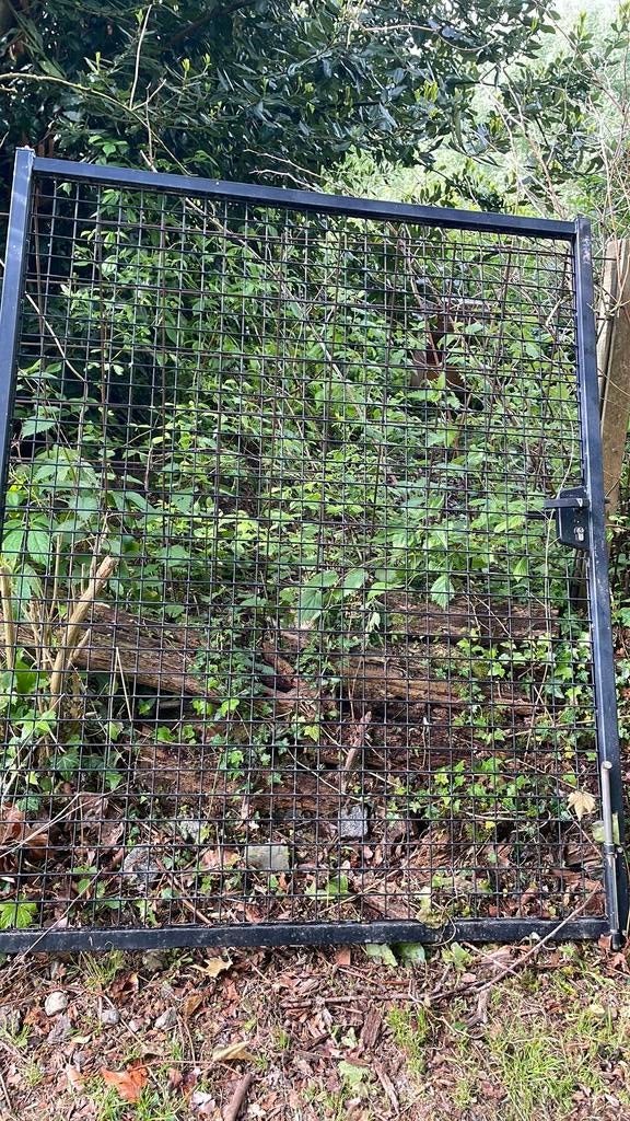 Grote ijzeren poort, Tuin en Terras, Ophalen, Gebruikt