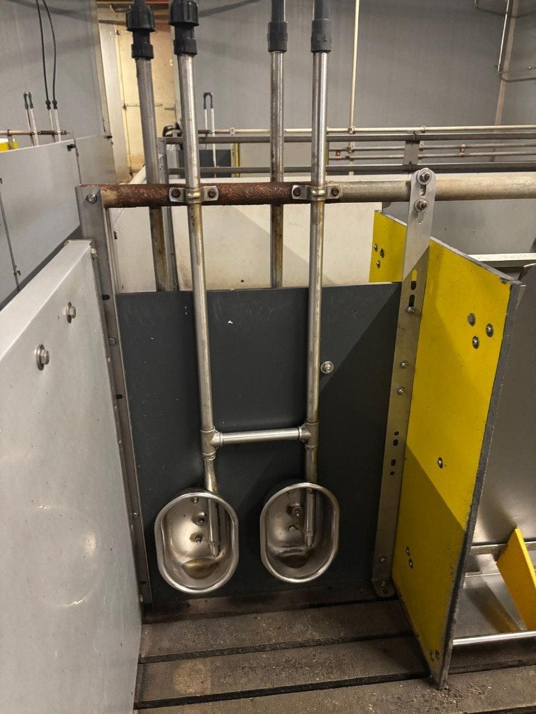 RVS drinkbakken voor biggen [554]