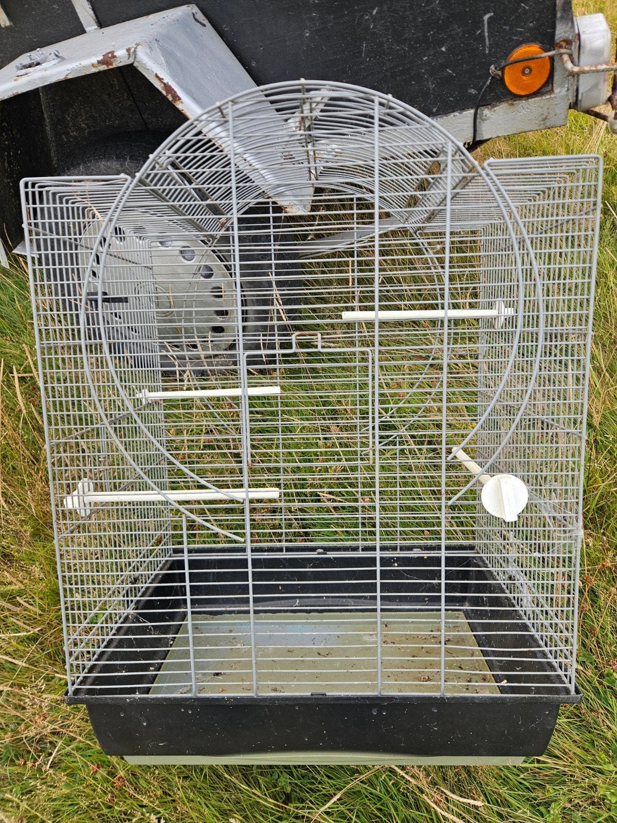 Cage oiseaux
