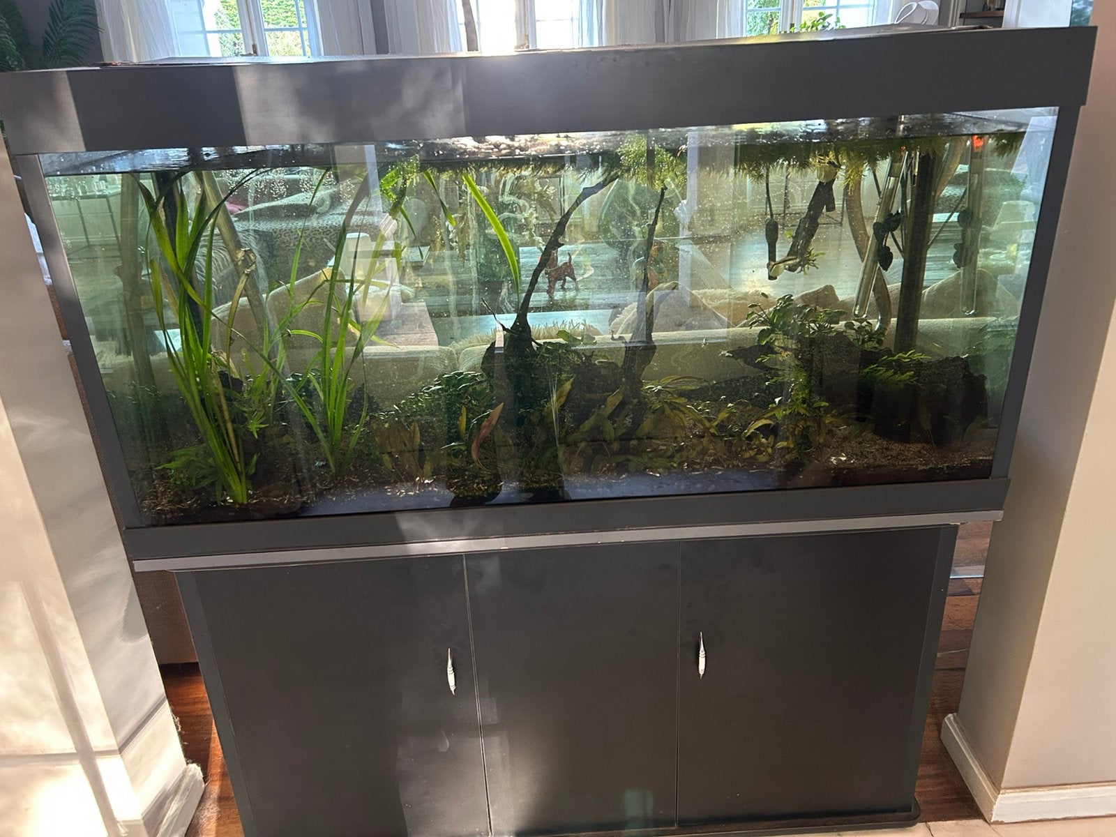 Aquarium met alle toebehoren, Ophalen, Gebruikt, Overige typen